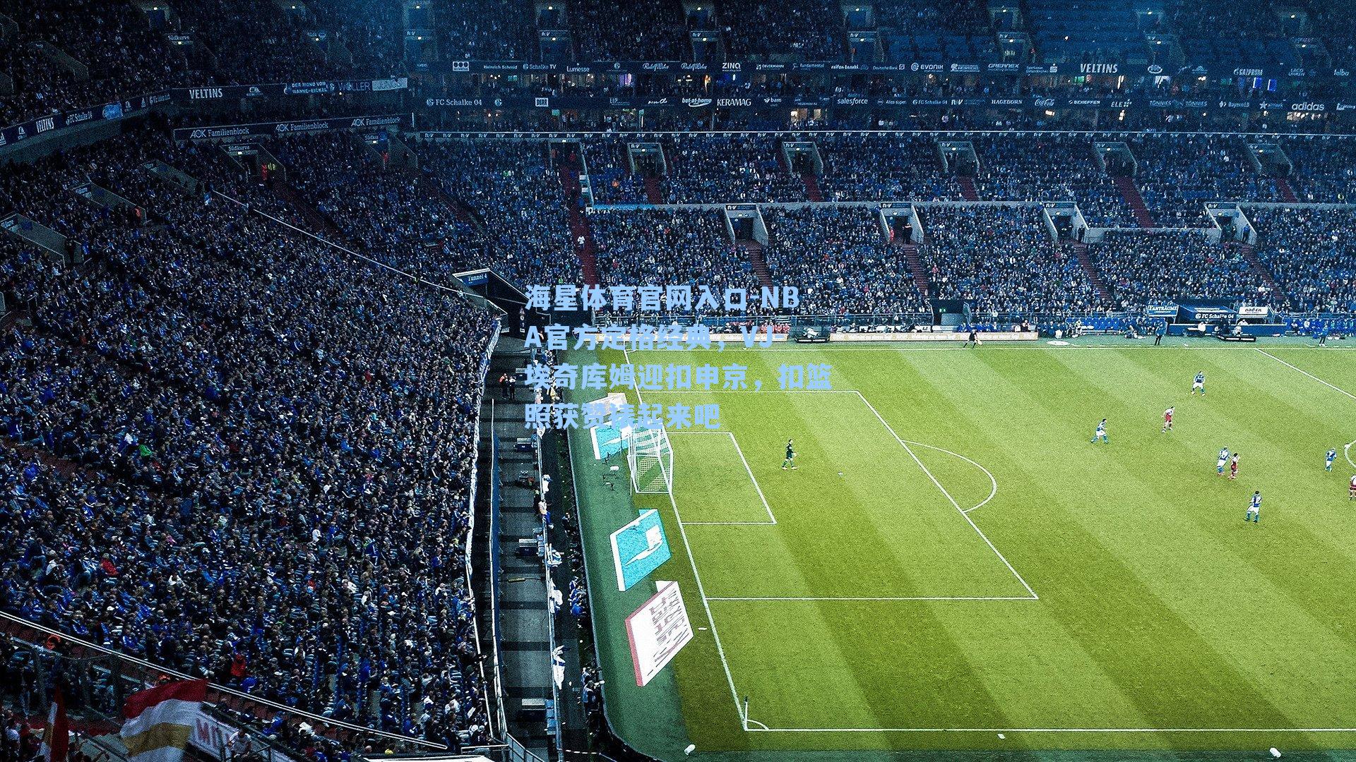 NBA官方定格经典，VJ-埃奇库姆迎扣申京，扣篮照获赞裱起来吧