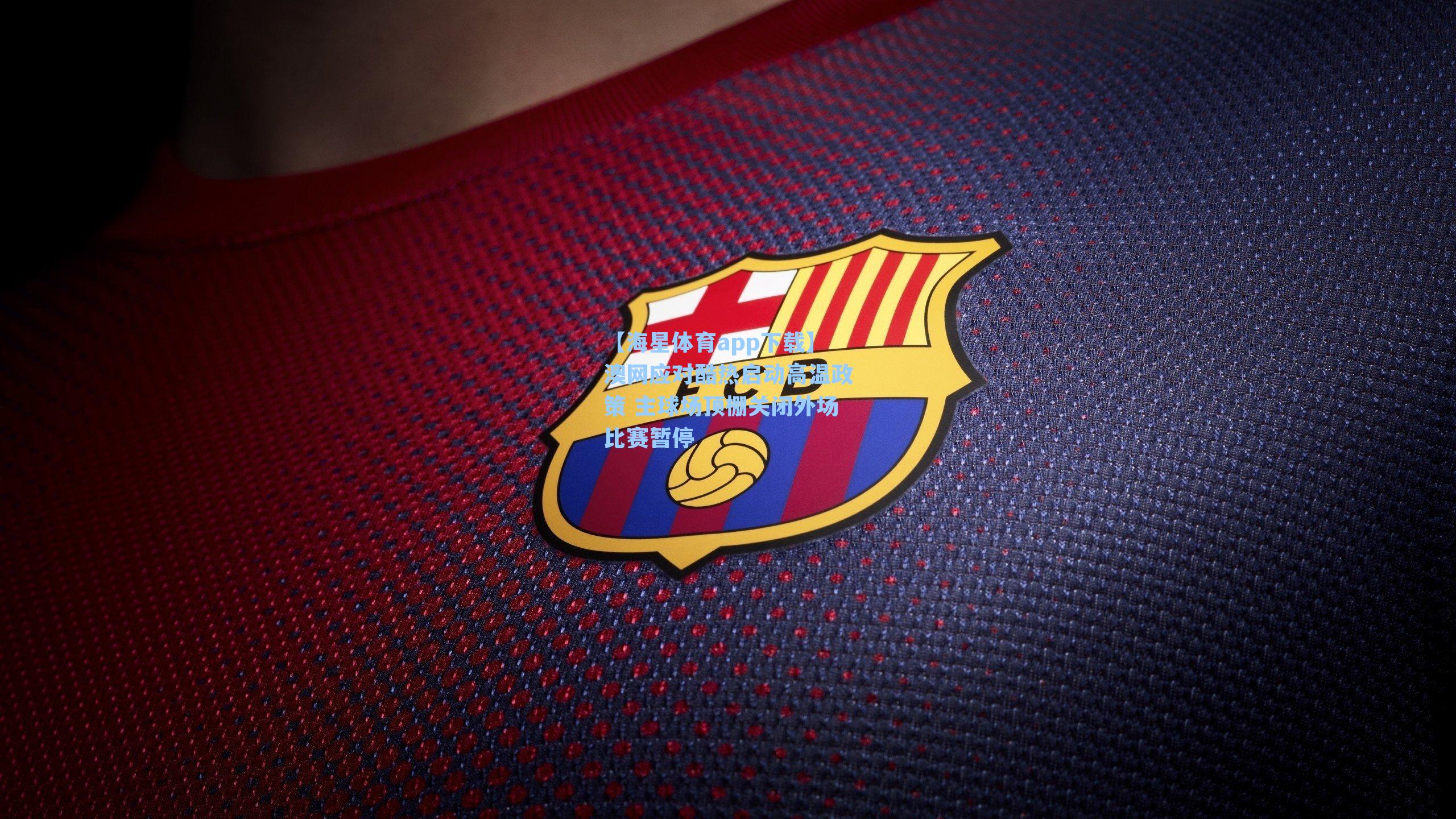 澳网应对酷热启动高温政策 主球场顶棚关闭外场比赛暂停