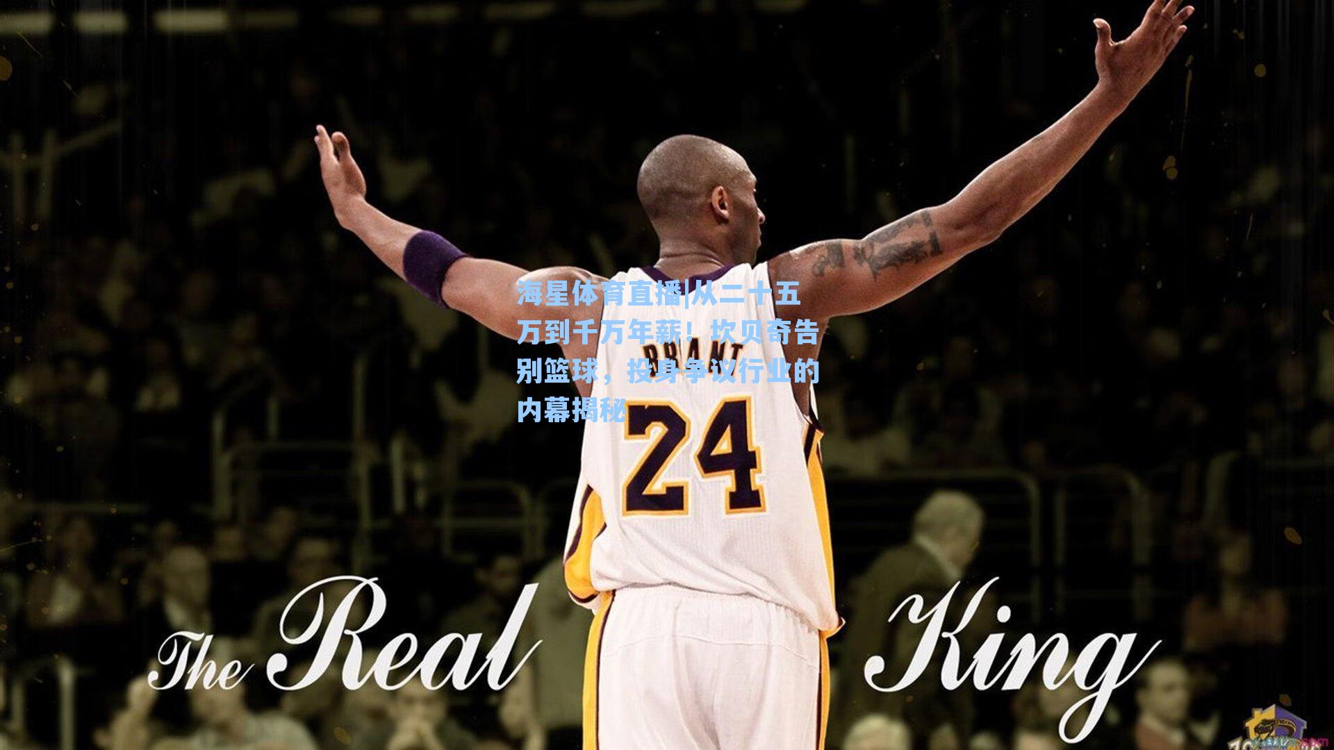 从二十五万到千万年薪！坎贝奇告别篮球，投身争议行业的内幕揭秘