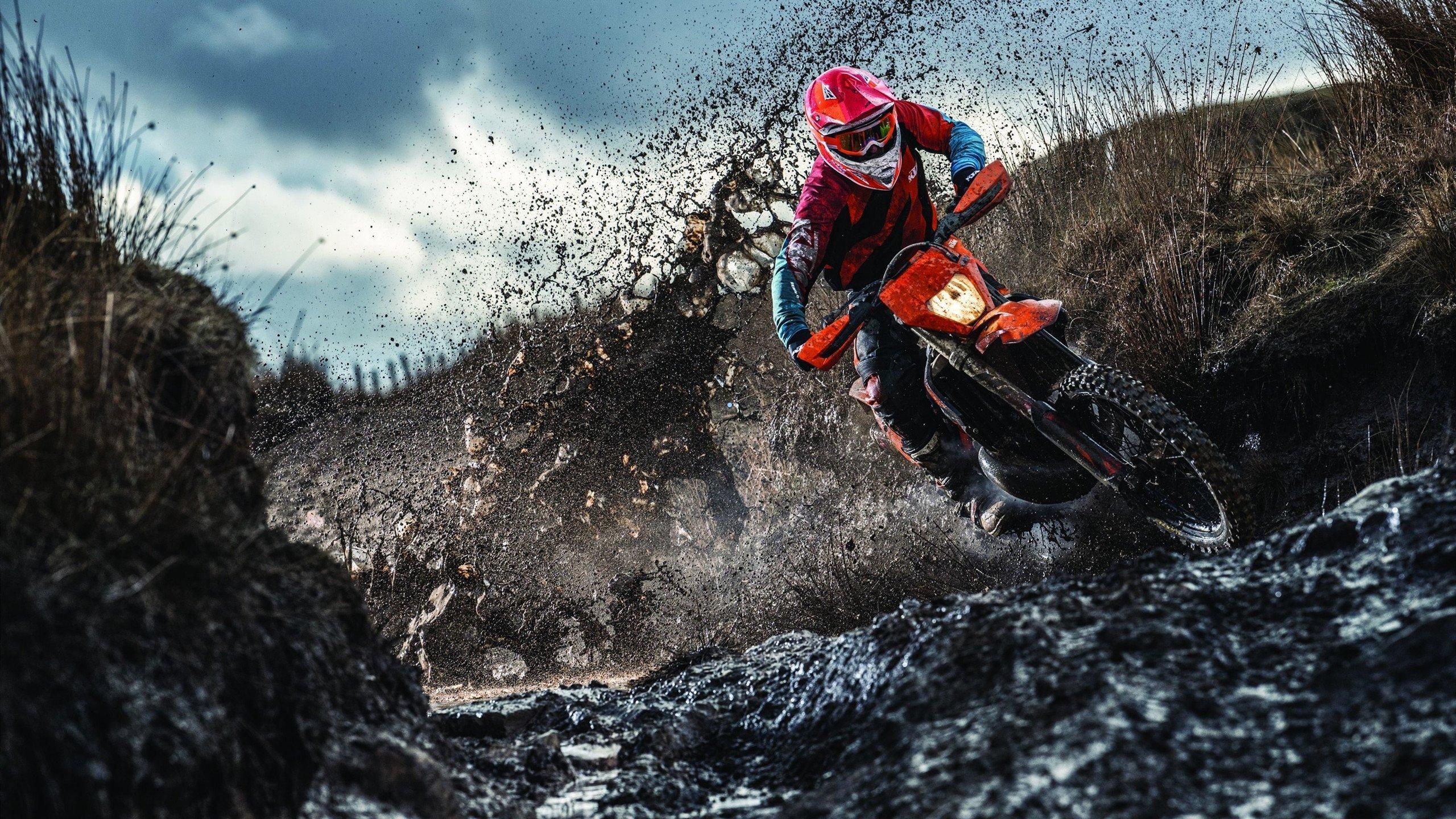 硬汉布克对决东契奇，美如画中投加罚定乾坤