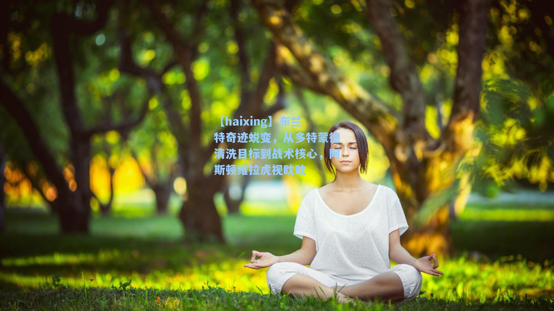 布兰特奇迹蜕变,从多特蒙德清洗目标到战术核心,阿斯顿维拉虎视眈眈